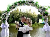В Белгороде, на набережной Везёлки в парке Победы, поженились 5 пар молодожёнов