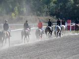 В Белгороде прошёл Кубок губернатора по конному спорту - Изображение 16