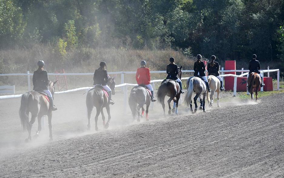 В Белгороде прошёл Кубок губернатора по конному спорту - Изображение 16