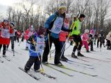 Более 4 000 белгородцев вышли на «Лыжню России – 2017»  - Изображение 20