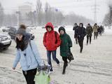 В Белгороде за ночь выпало 10 мм осадков - Изображение 23