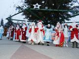 По Белгороду прошлись Деды Морозы и Снегурочки - Изображение 9
