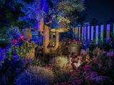 Подсвеченные сады и сияющие лица: как Белгород в цвету выглядел ночью (фоторепортаж)
