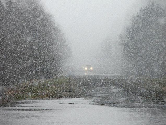 В Белгородской области ожидаются мокрый снег с дождём и заморозки