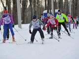 Более 4 000 белгородцев вышли на «Лыжню России – 2017»  - Изображение 16