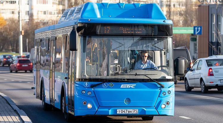 8 марта в Белгородской агломерации изменят график движения автобусов