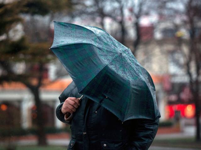 Белгородцев предупреждают о сильном ветре