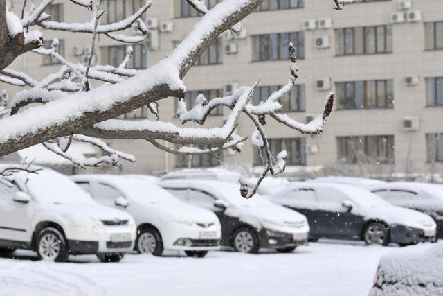 В Белгородской области сохранится морозная погода