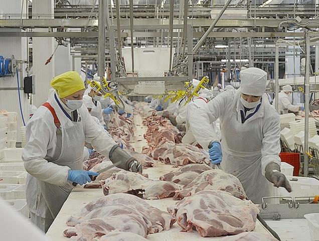 Белгородская область установила рекорд по производству мяса на душу населения