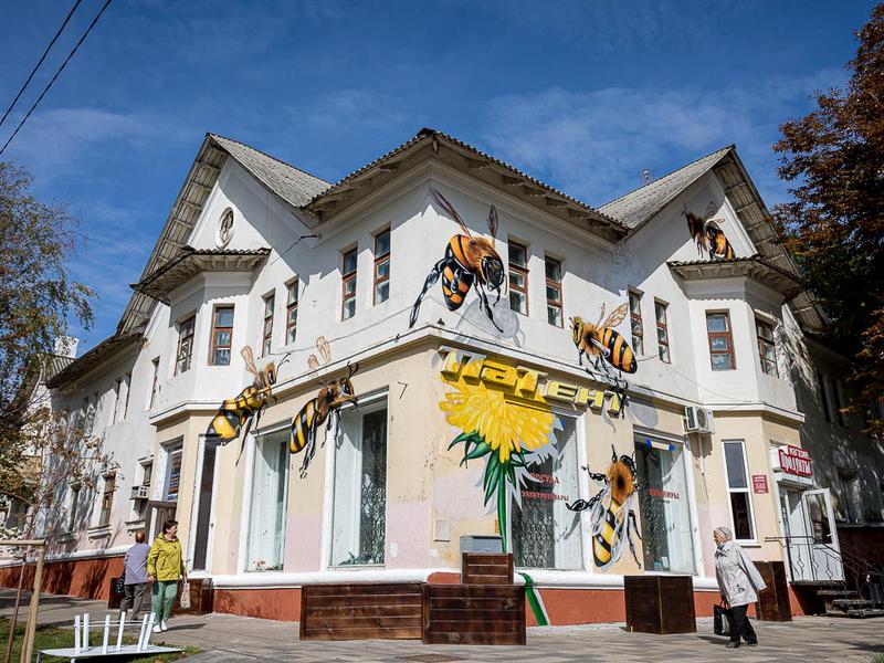 Белгород в цветах и пчёлах: что ждёт белгородцев на фестивале (фоторепортаж)