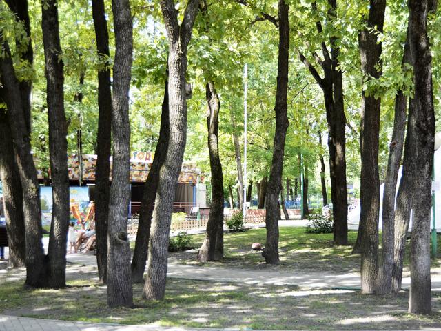 Мой офис – парк: истории белгородцев, которые работают на свежем воздухе