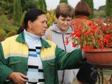 В белгородский ботанический сад пришла осень - Изображение 10