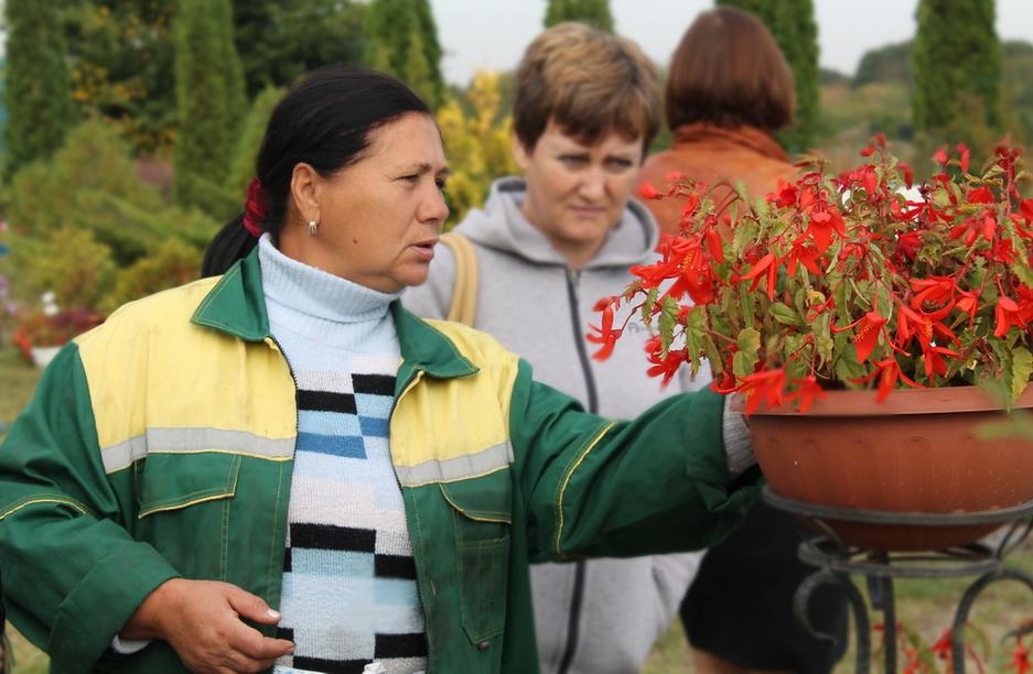 В белгородский ботанический сад пришла осень - Изображение 10