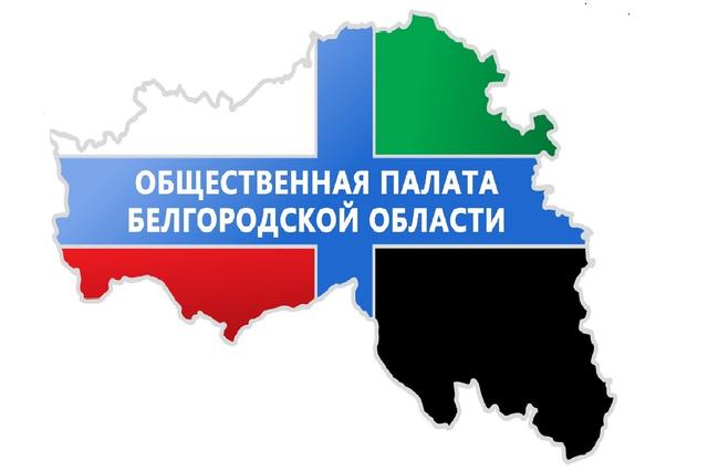 Плюс один. В Белгородской области изменили порядок формирования Общественной палаты