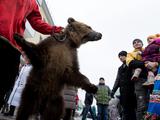 Живой медведь и группа «Градусы»: как в Белгороде завершился фестиваль вареников