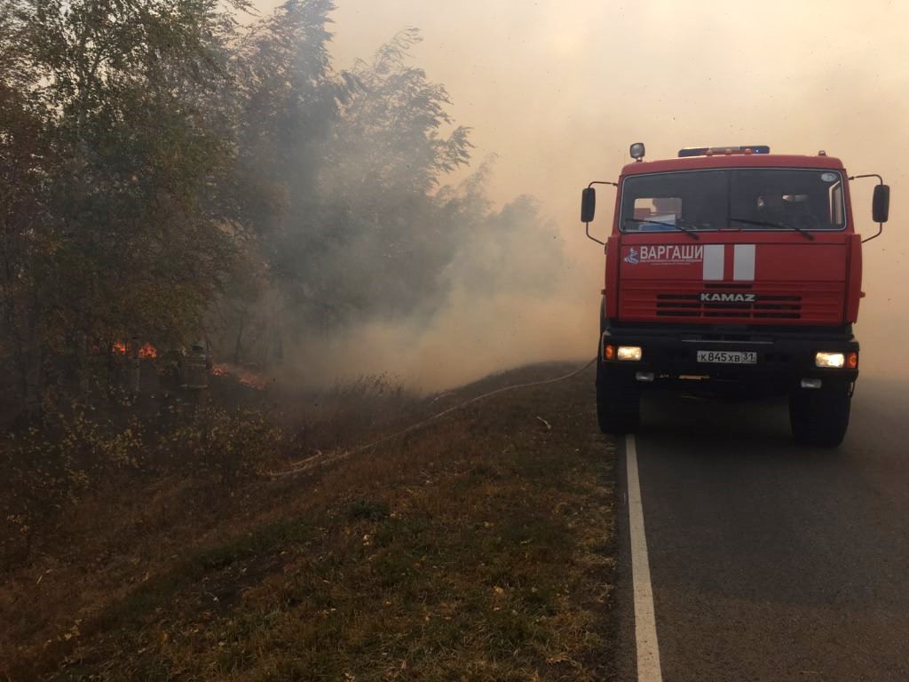 В селе Севрюково выгорело около 2,5 га оврага