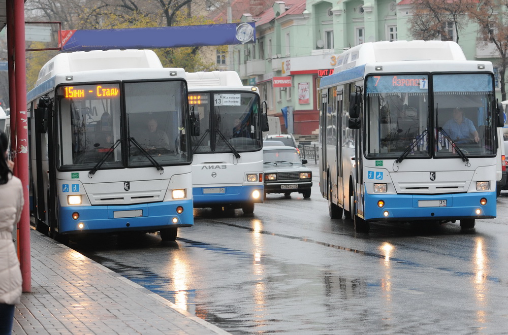 В Белгородской агломерации создают Единую транспортную компанию