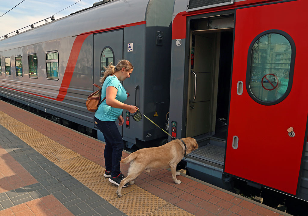 Прямые поезда из Белгорода в Крым могут появиться летом 2021 года