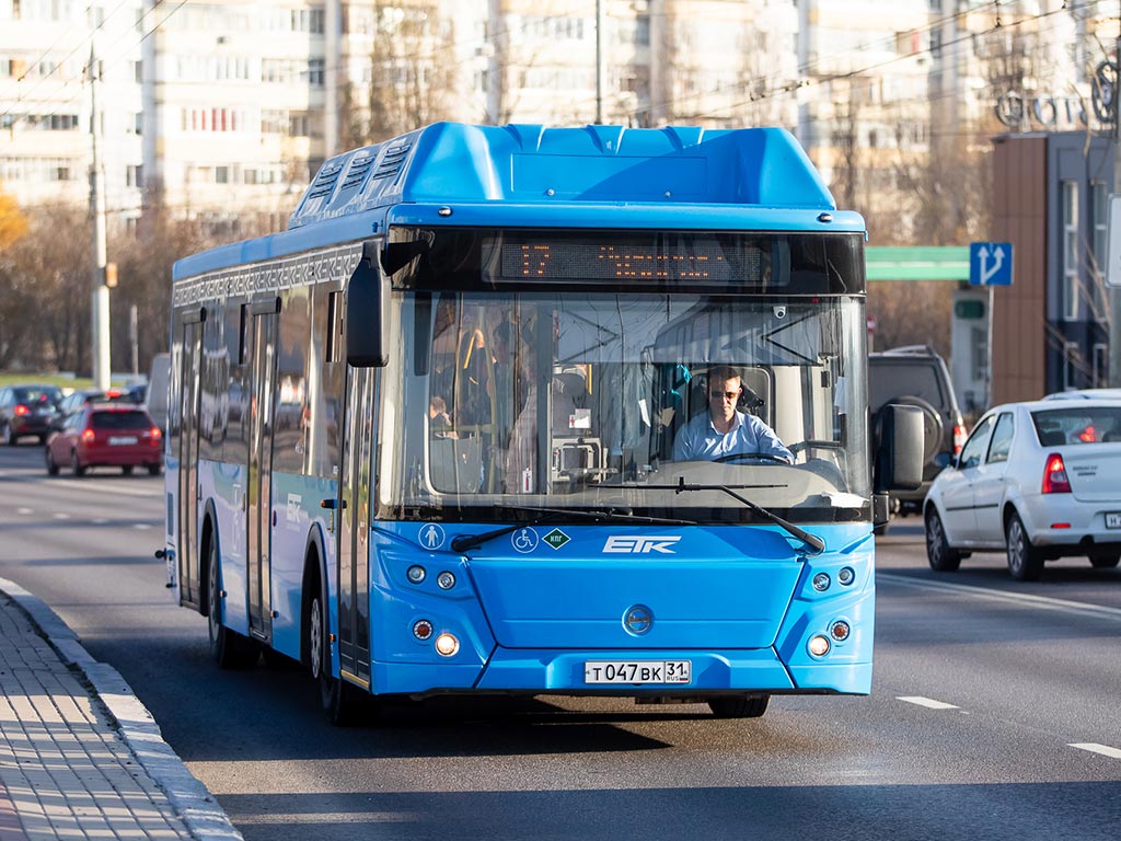 Водителям автобусов в Белгороде обещают зарплату 45 тысяч рублей