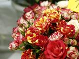 Белгородский цветочный салон «Флорист.ру» встретил своих первых покупателей - Изображение 1