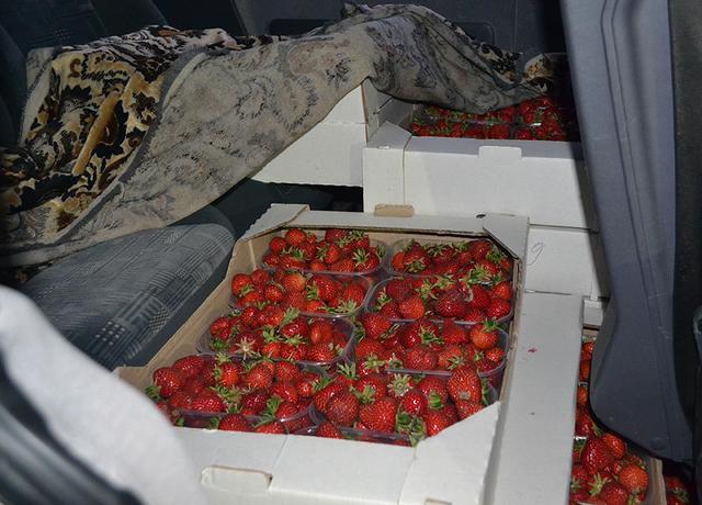 Белгородские пограничники задержали 100 кг клубники и 500 кг орехов