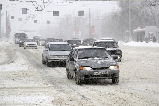 Семь белгородских водителей, на которых приходится 461 штраф, лишены прав