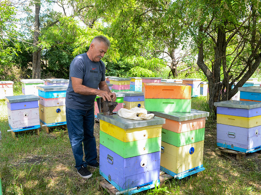 Николай Собин – потомственный пчеловод