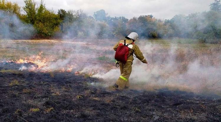 Экологический ущерб от поджогов травы и мусора в Белгородской области оценили в 1 млн ₽