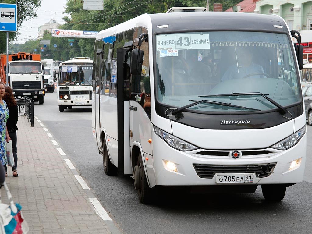 В Белгороде проезд в автобусе при оплате налом подорожает до 25 рублей