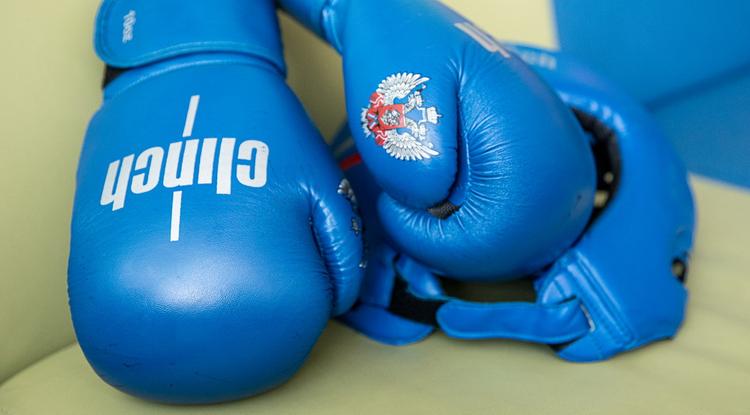 Два белгородца выиграли первенство ЦФО по боксу