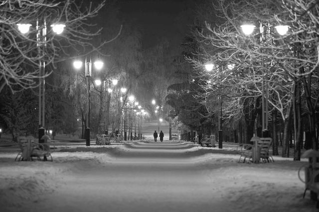 Синоптики обещают белгородцам мороз и снег на Новый год