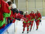 В Белгороде прошёл первый Кубок хоккейной лиги 3 х 3 памяти Алексея Великих