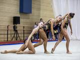 В Белгороде прошёл Кубок области по художественной гимнастике