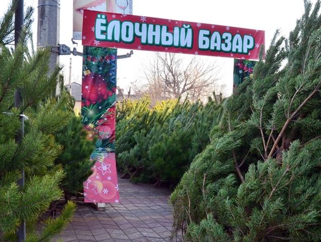 В Белгороде заработают 40 ёлочных базаров
