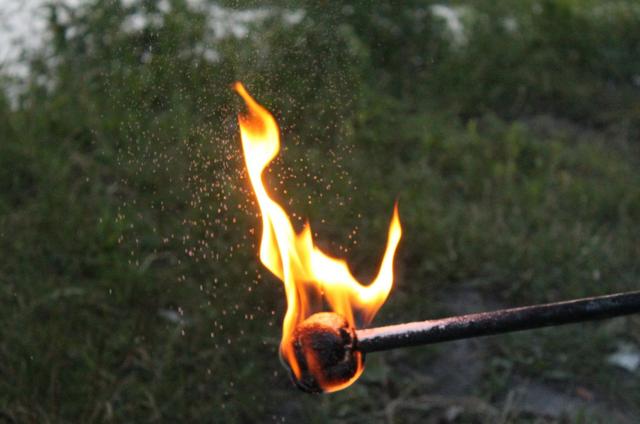 С начала года в Белгородской области выгорело более 300 га земли