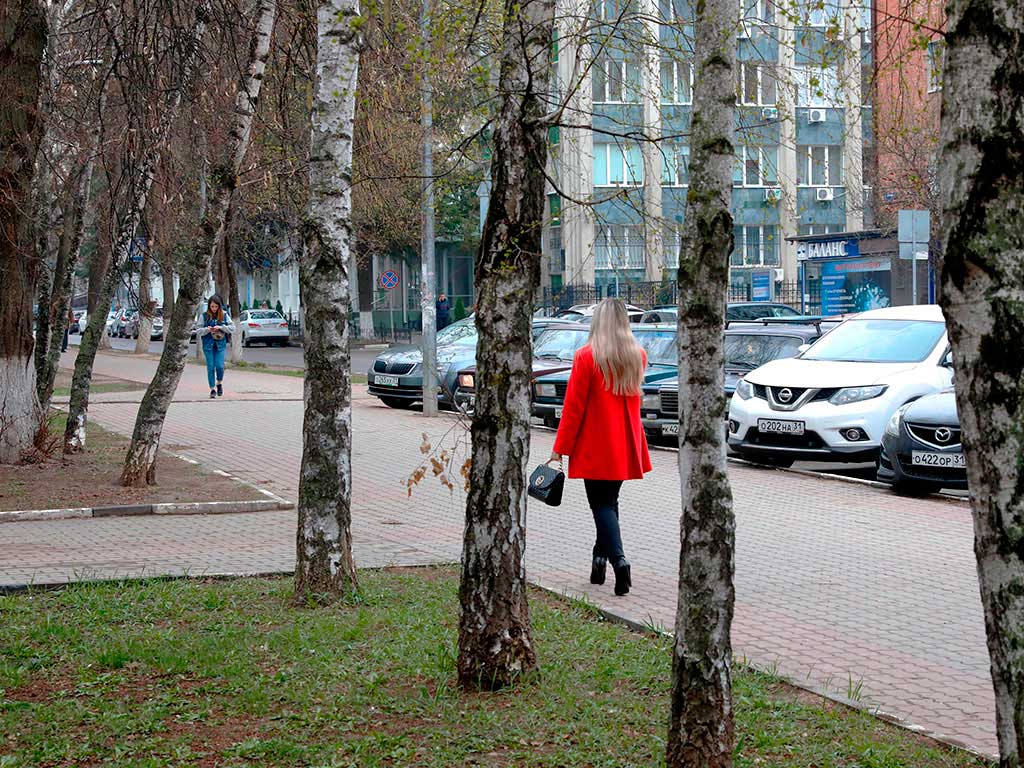 В Белгородской области стартовала кампания по ремонту пешеходных зон после зимы