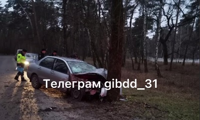 В ДТП в Шебекино погиб водитель иномарки