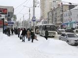 В Белгороде за ночь выпало 10 мм осадков - Изображение 5