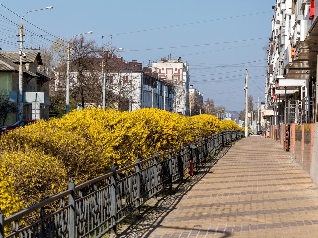 Как работает в условиях санкций и какие перспективы видит белгородский средний бизнес