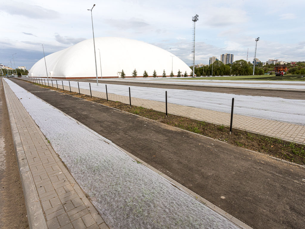 Рядом с манежем в Белгороде хотят построить спортивный парк