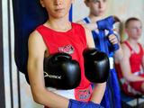 В Белгороде прошёл боксёрский юношеский турнир памяти Николая Ватутина - Изображение 9