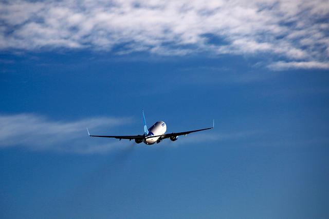 Белгородскую турфирму оштрафовали за опоздание клиентов на самолёт