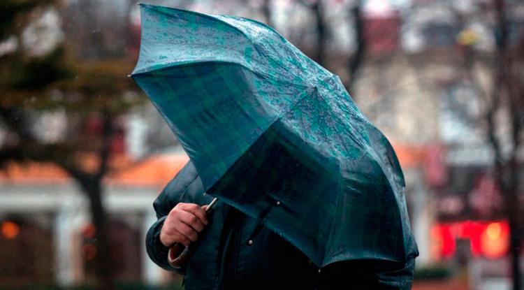 В Белгородской области ожидаются дожди и ветер до 20 м/с