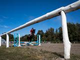 В Белгороде прошёл Кубок губернатора по конному спорту (фоторепортаж)