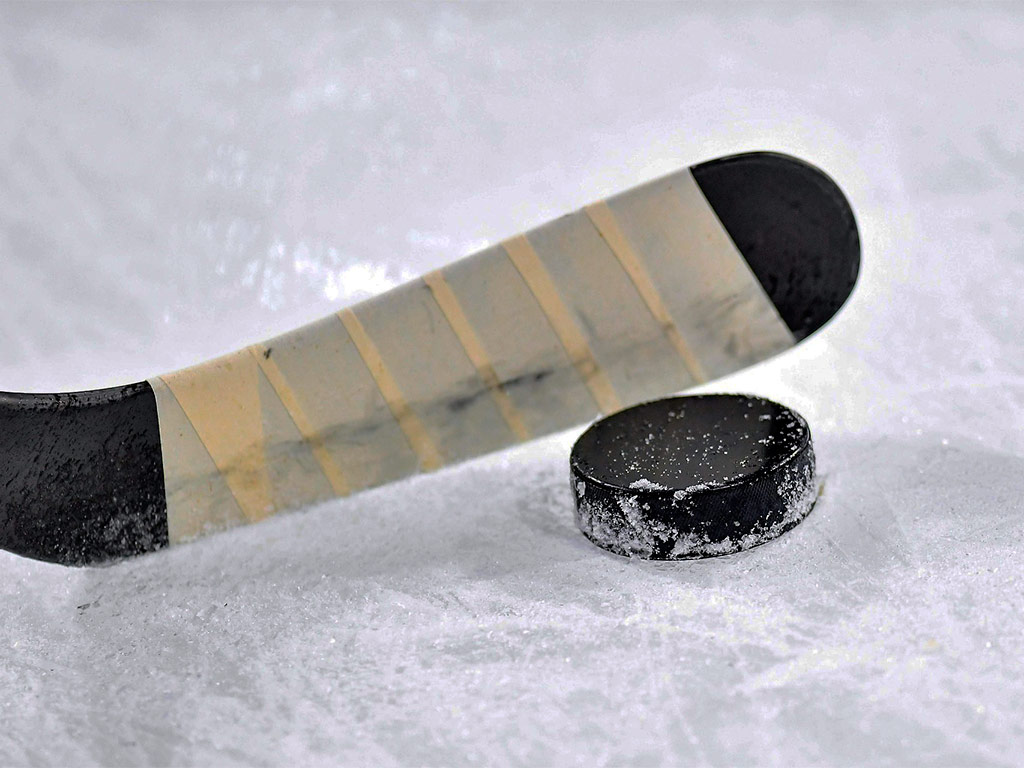 Хоккейный «Белгород» обменялся победами с «Брянском»