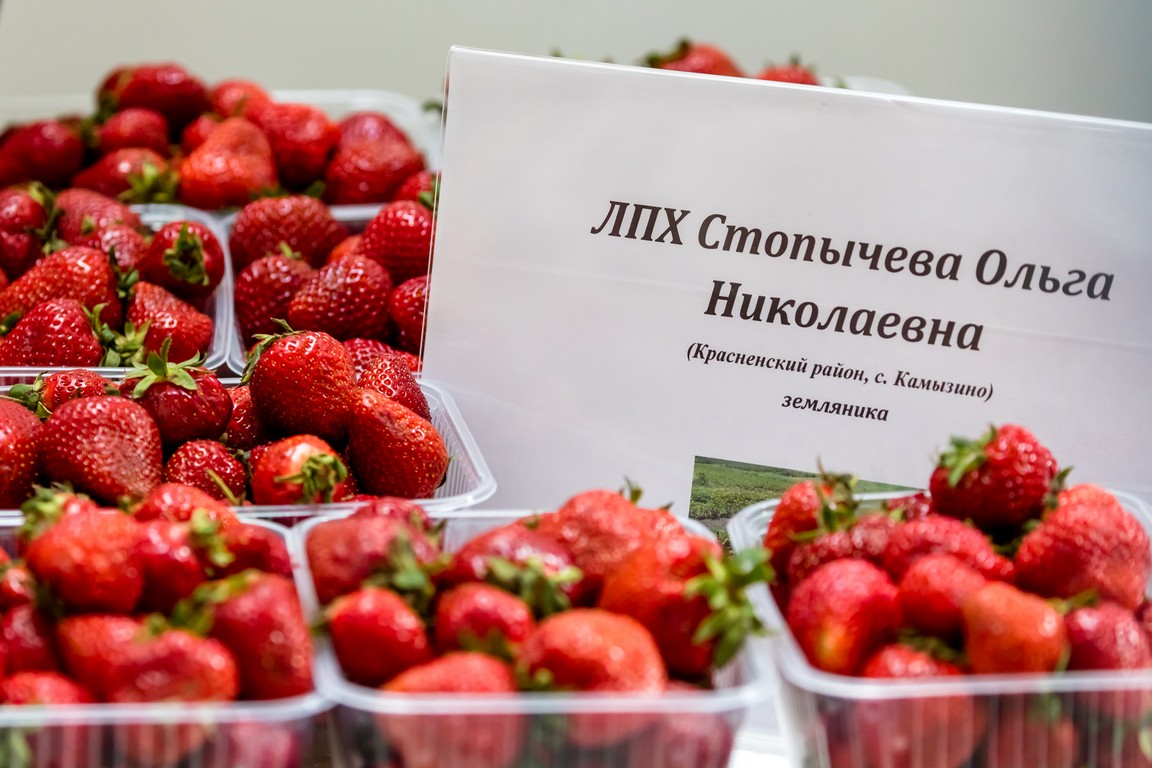 В Белгороде открыли ярмарку фермерских продуктов