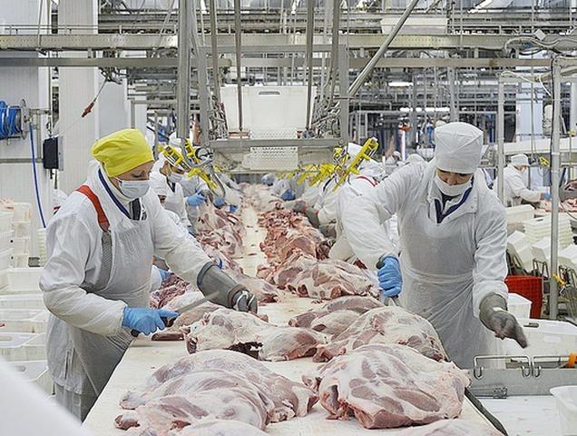Белгородские компании переходят на производство мяса без антибиотиков