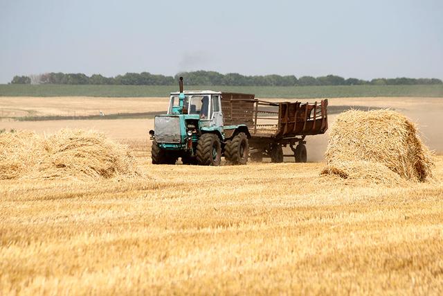 292 млн рублей на развитие сельского хозяйства получит Белгородская область 