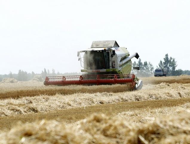Белгородские аграрии получат 2 млрд рублей на проценты по инвесткредитам