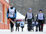 Более 4 000 белгородцев вышли на «Лыжню России – 2017»  - Изображение 1